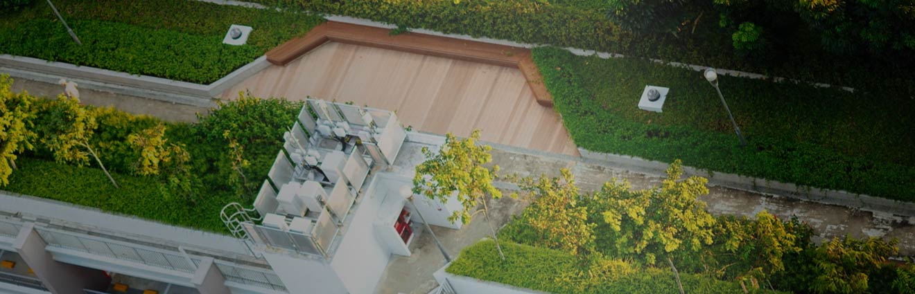 Image showing a green roof.